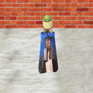 Graduate Socks